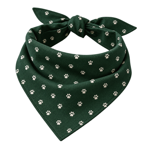 The Clubhouse Bandana