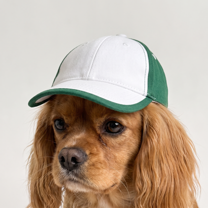Caddy Pup Outfit